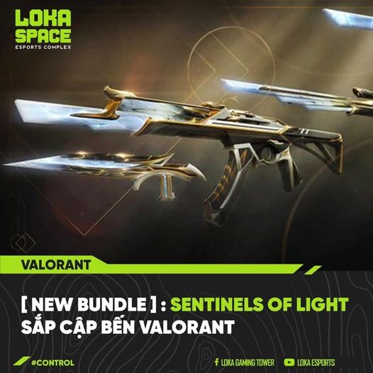 218199018 157925533100148 6159557918370942008 N