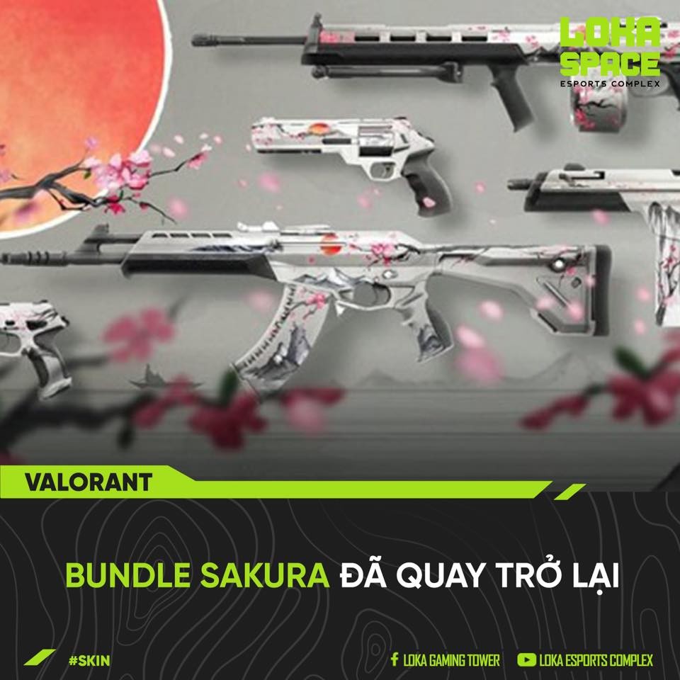 229625292 173005554925479 4419192403859887151 N